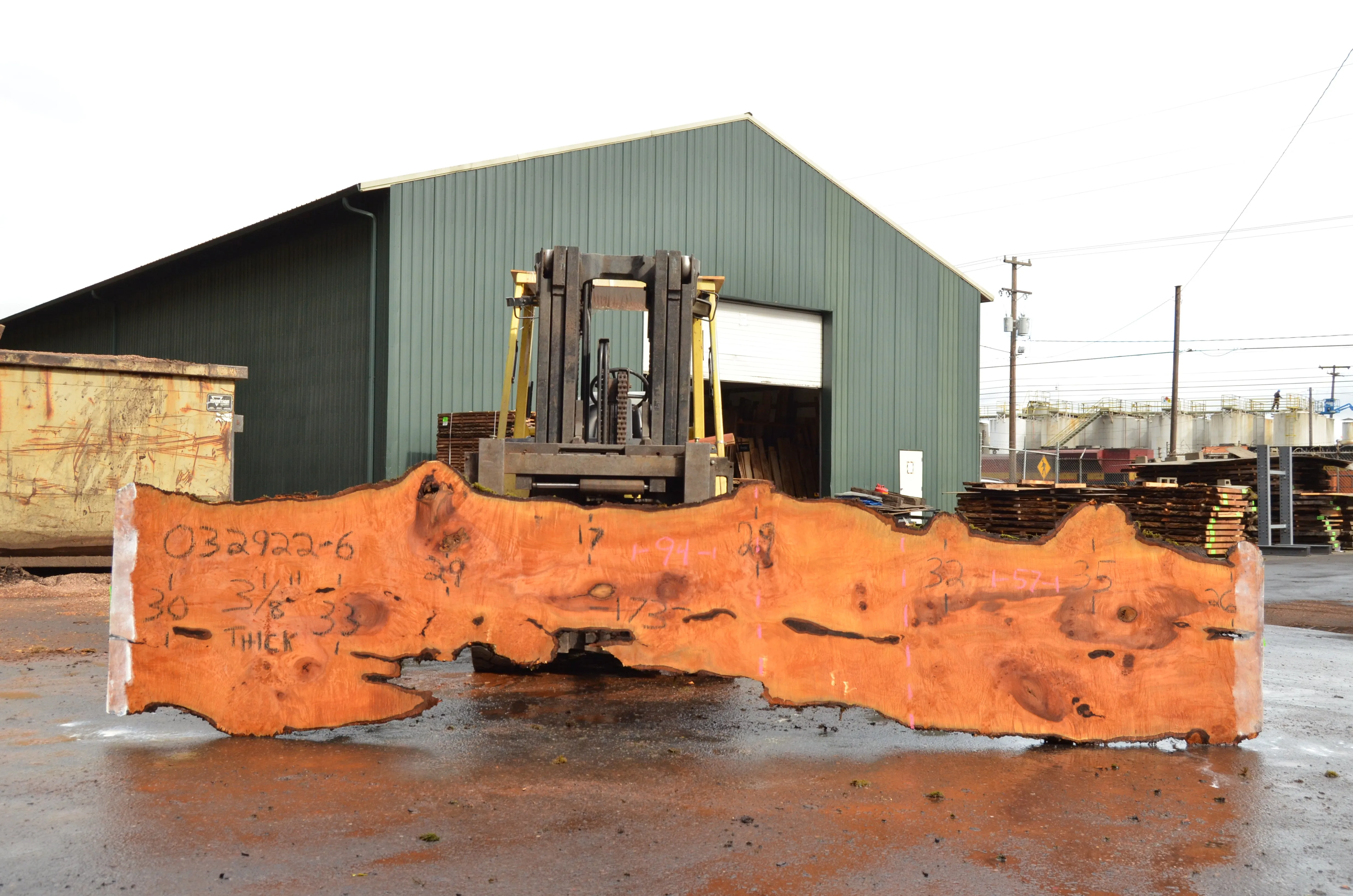 Big Leaf Maple Slab 032922-06