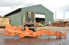 Big Leaf Maple Slab 032922-08