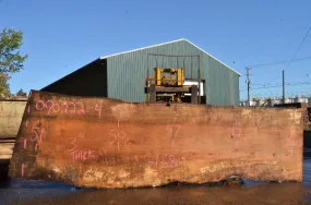 Big Leaf Maple Slab 090222-04