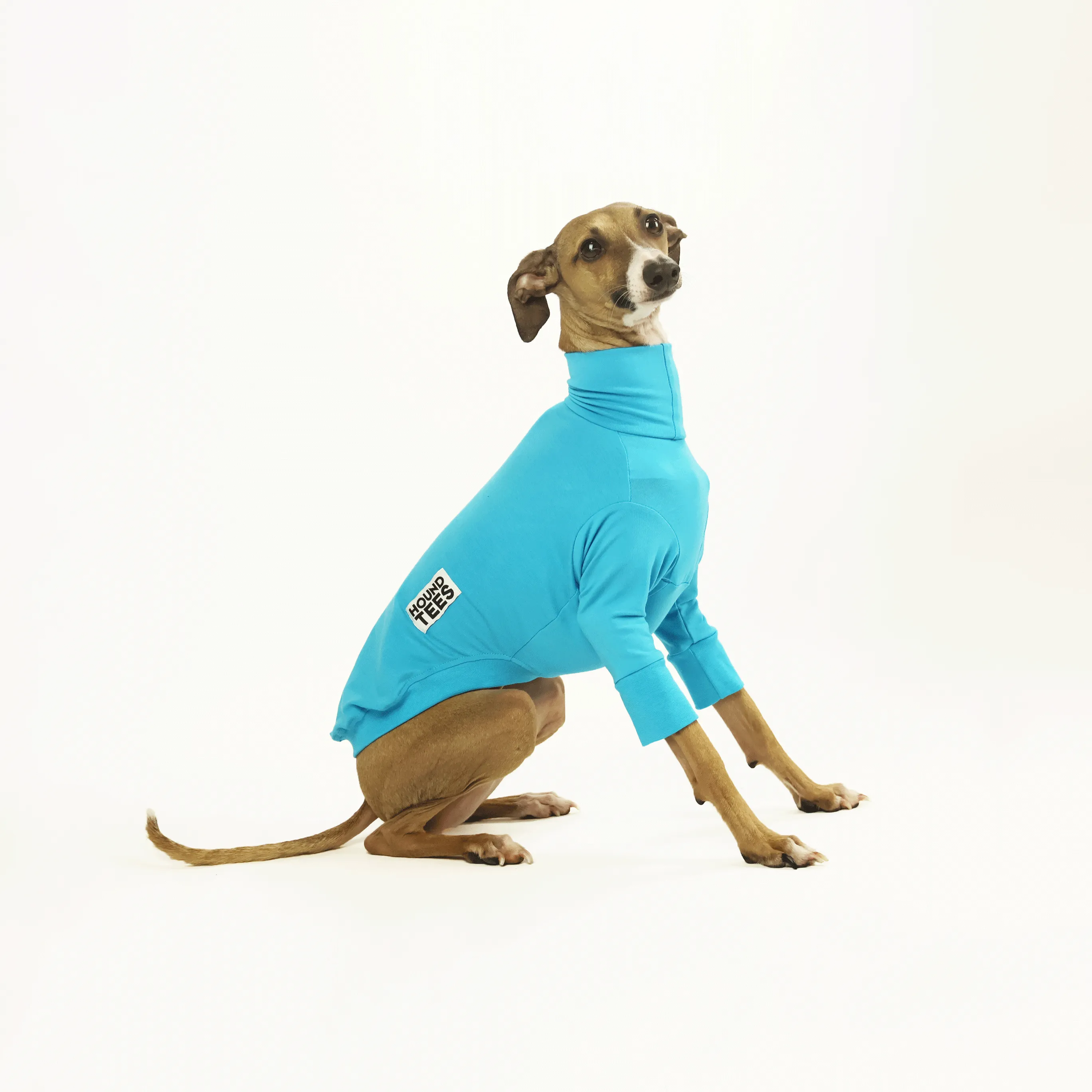 Bluey Iggy Long Sleeve Base Layer