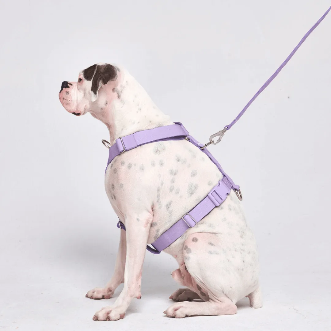 Comfort Control™ No-Pull Dog Harness - Lilac