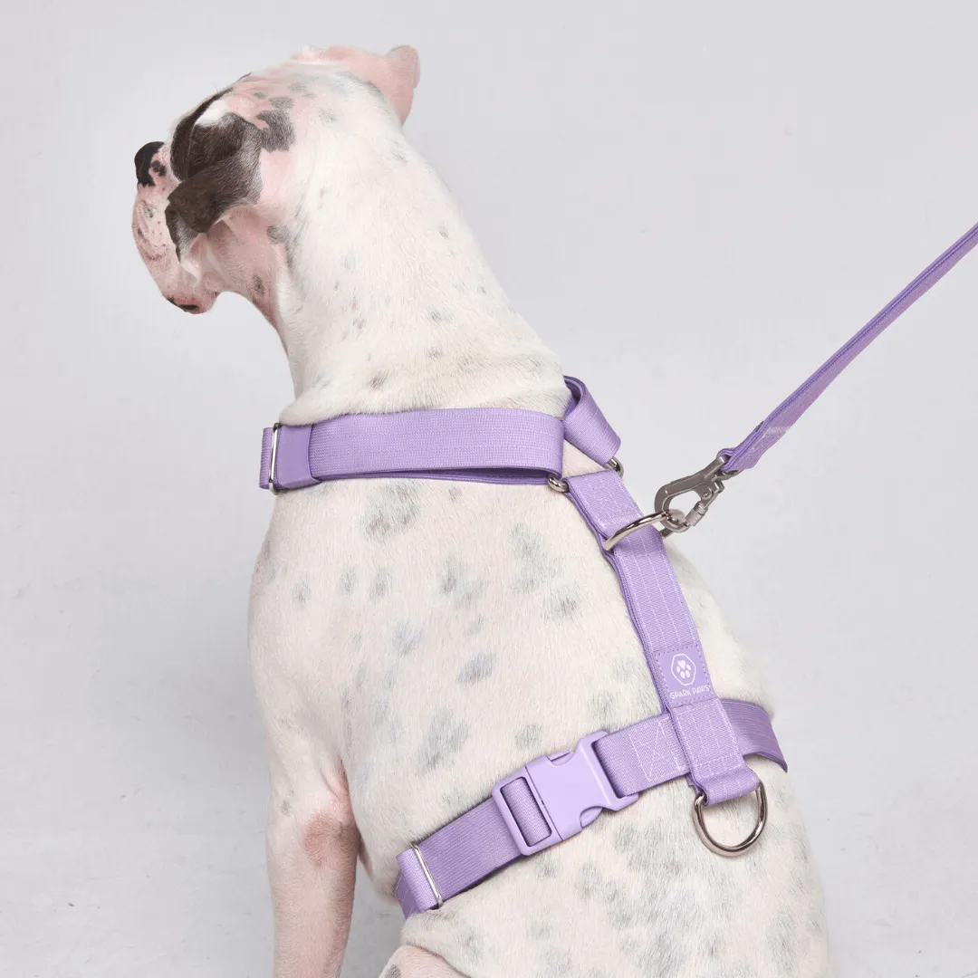 Comfort Control™ No-Pull Dog Harness - Lilac