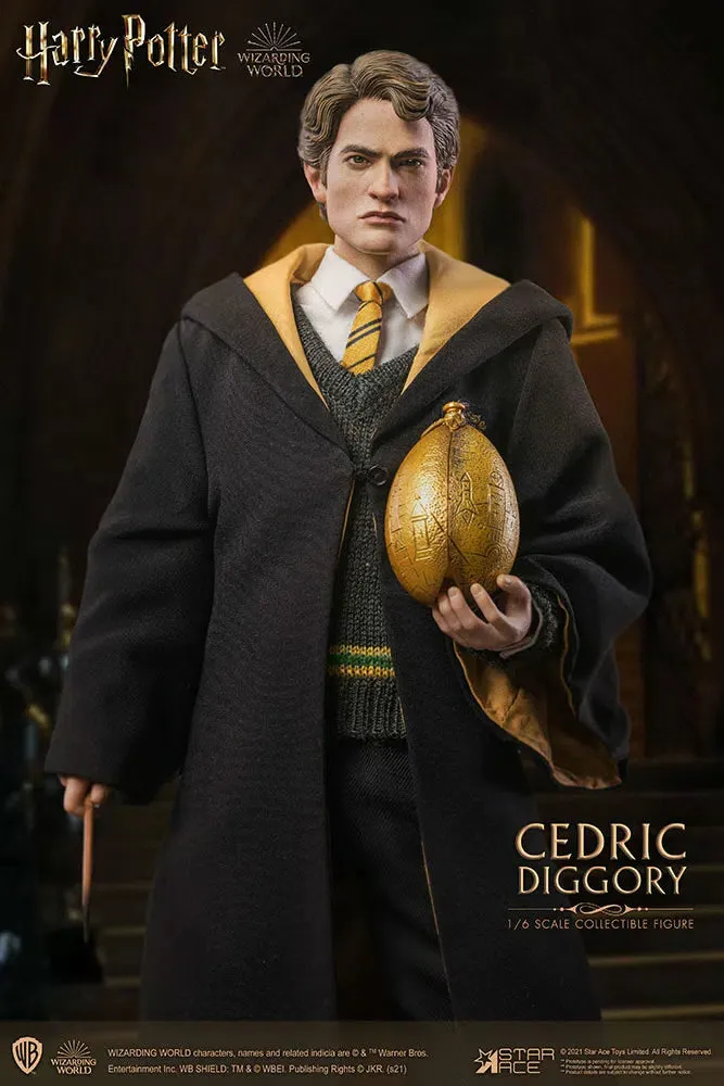 Harry Potter & The Goblet Of Fire: Cedric Diggory: Deluxe: Sixth Scale Figure