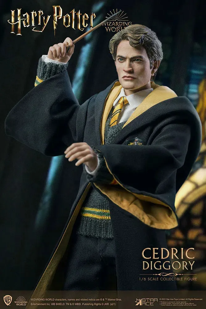 Harry Potter & The Goblet Of Fire: Cedric Diggory: Deluxe: Sixth Scale Figure