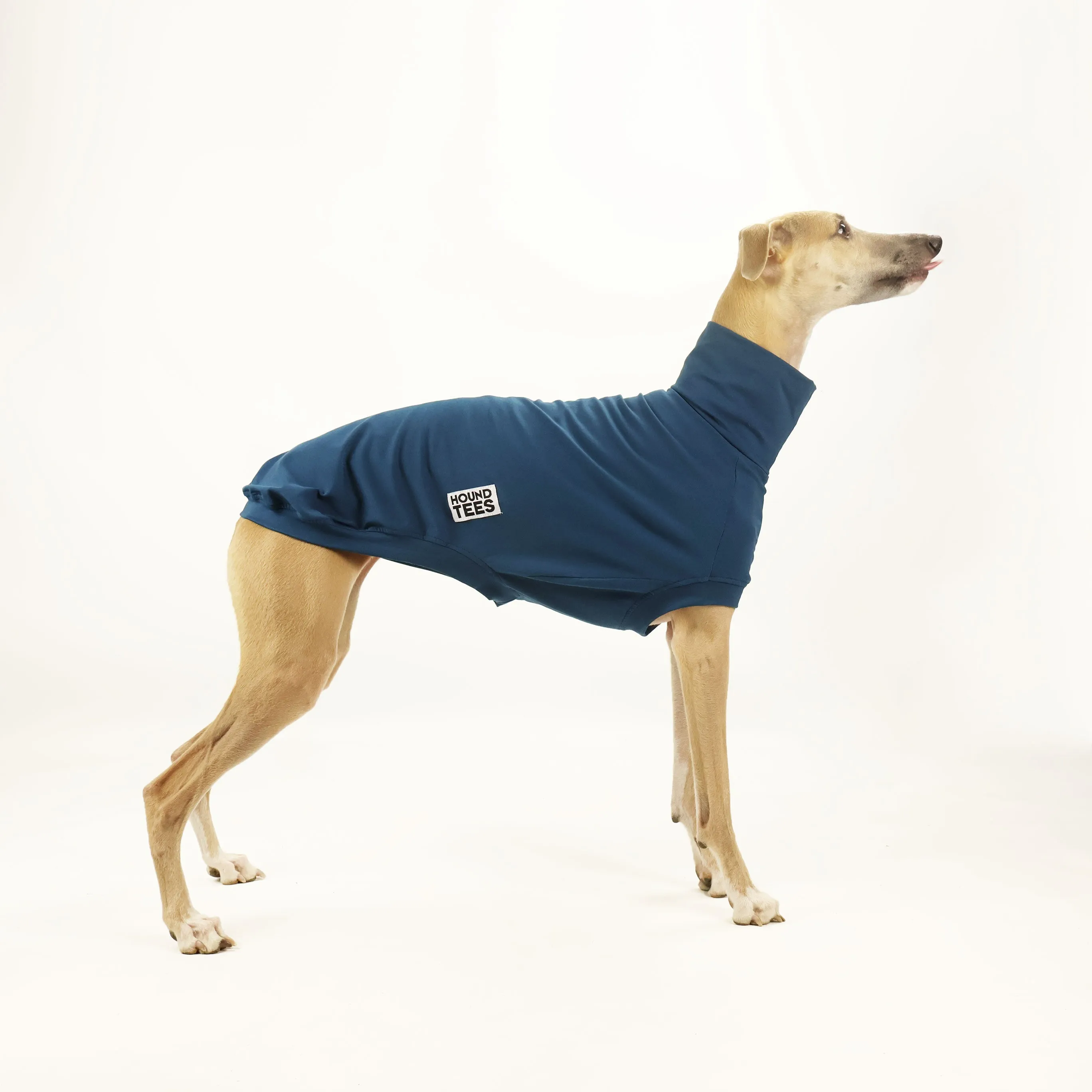 Monday Blues Whippet Sleeveless Base Layer