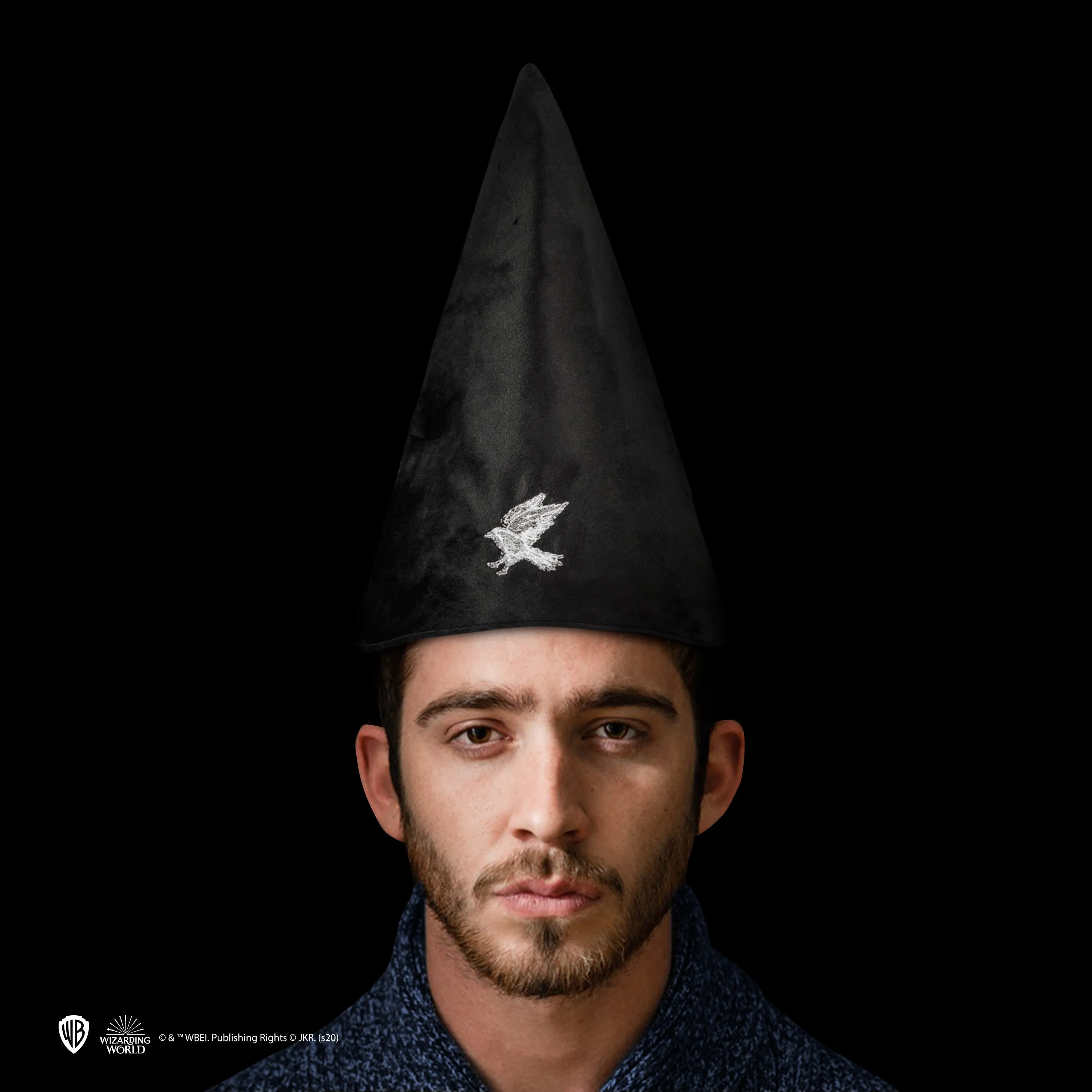 Ravenclaw Student Hat