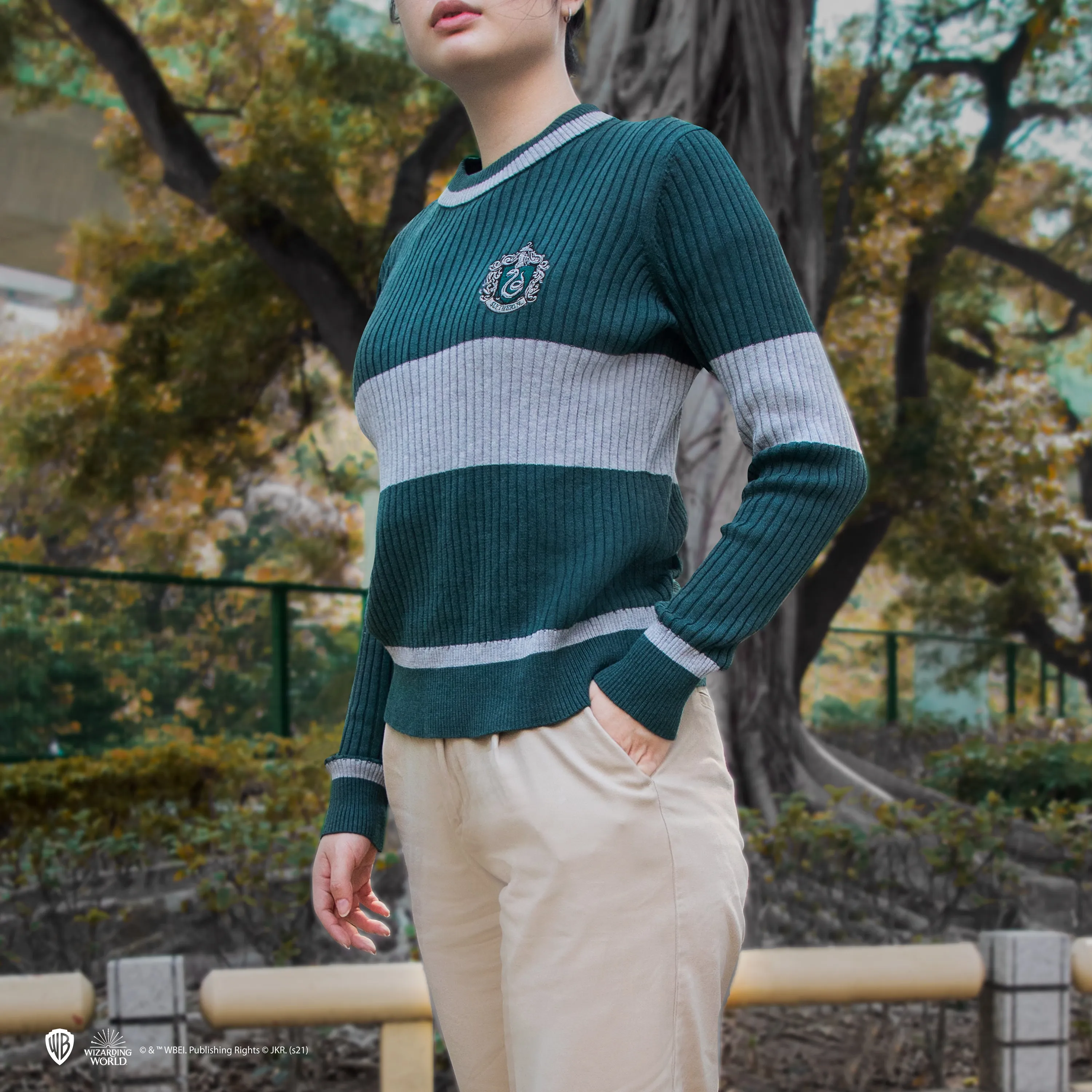 Slytherin Quidditch Sweater