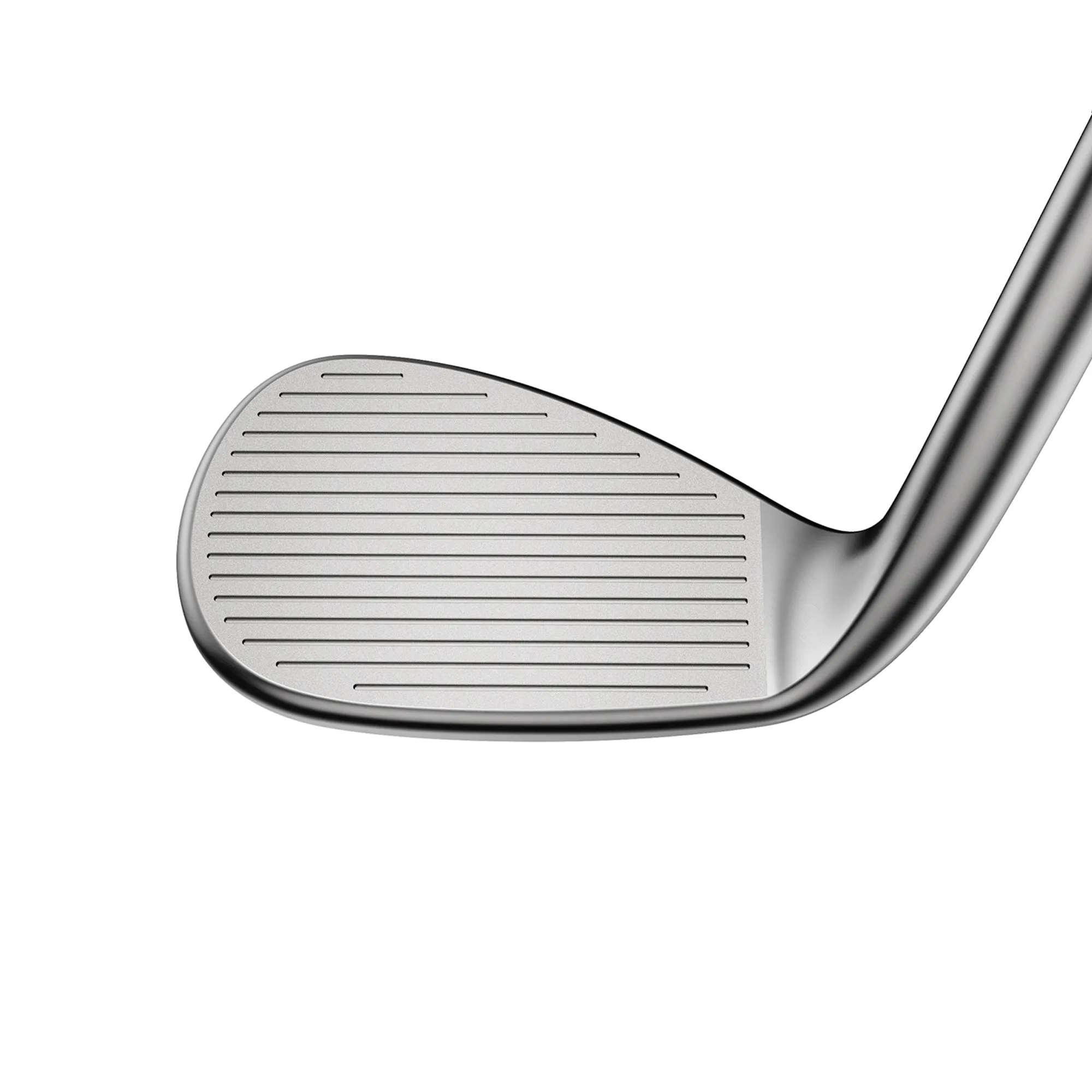 SNAKEBITE Raw Wedge | Versatile | Left