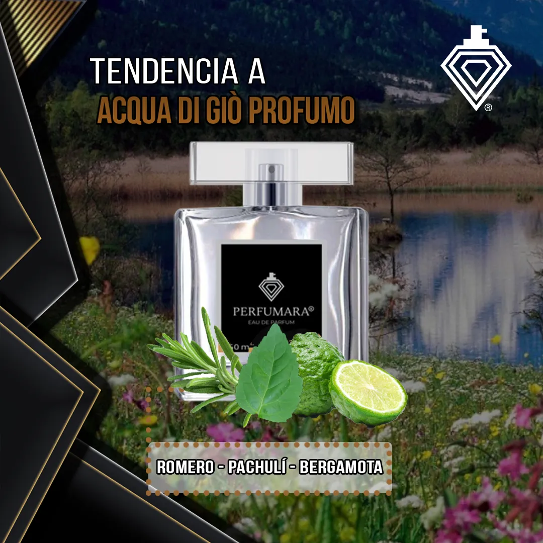 Tendencia a CAqua di Giò Profumo