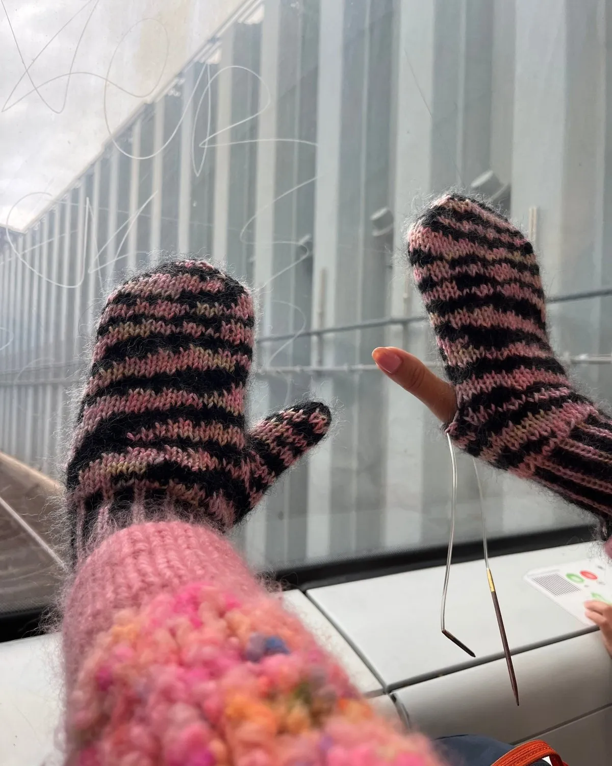 Zebra Mittens Norsk